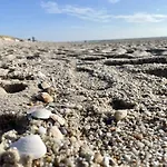 Strandperle